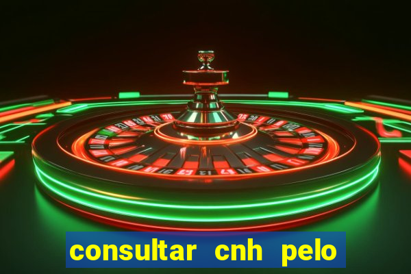 consultar cnh pelo cpf sp